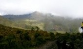 Parque Natural Los Nevados Fuente: Uff.Travel