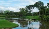 Campos de Golf (Trángulo del Café).  Fuente: www.campestrepereira.com