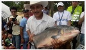 Festival Internacional de la Cachama